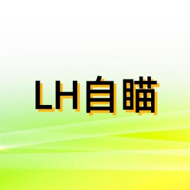 LH自瞄